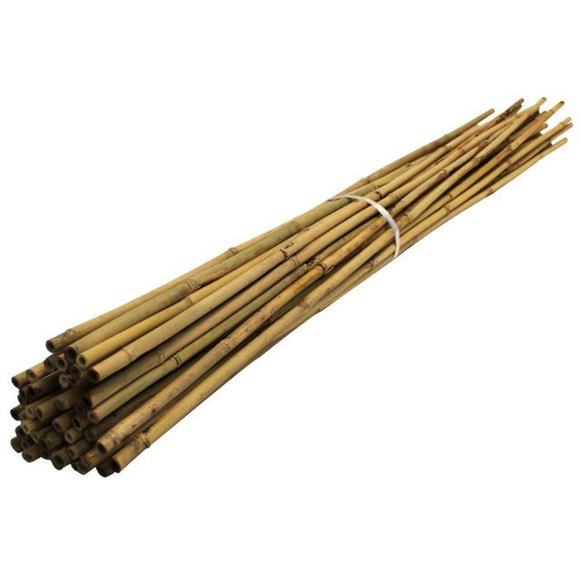 Vietnamese bamboo poles wholesale price - Raw Bamboo Poles for Gardening and Decoration - Bamboo Pole 100% Natural - Image 3