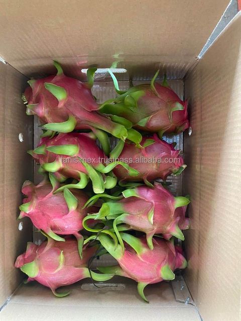 White Dragon Fruit Cheap Price Fresh White Dragon Fruit from Vietnam - Image 3