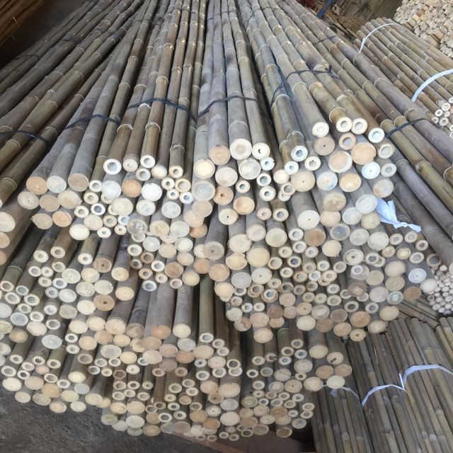Top Quality Natural Materials Manufacturer Construction Moso Bamboo Pole Decoration - Image 5