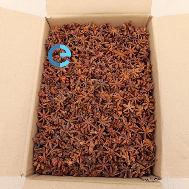 STAR ANISE SPRING VIETNAM ANISEED FACTORY PRICE HIGHLY RECOMMEND FOOD SEASONINGS PEPPER DESICCATED COCONUT - Image 4