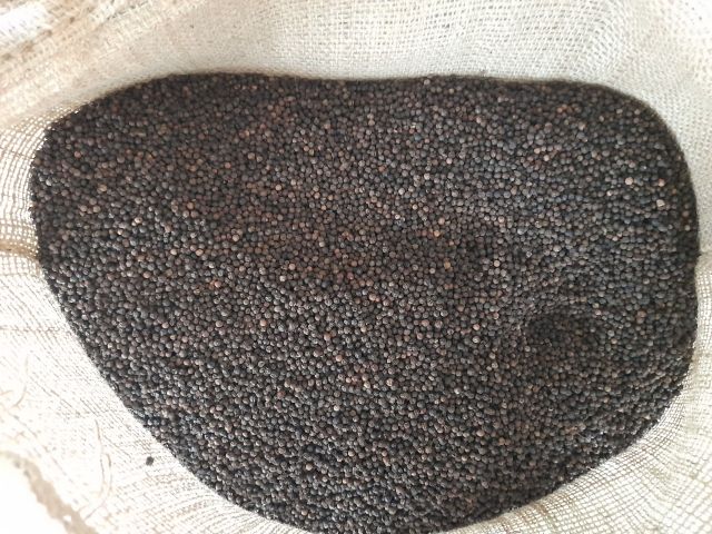 Black Pepper Black Pepper Powder Spices Mixed Yellow Bag Top Vietnamese Hot Style Packing Food - Image 4