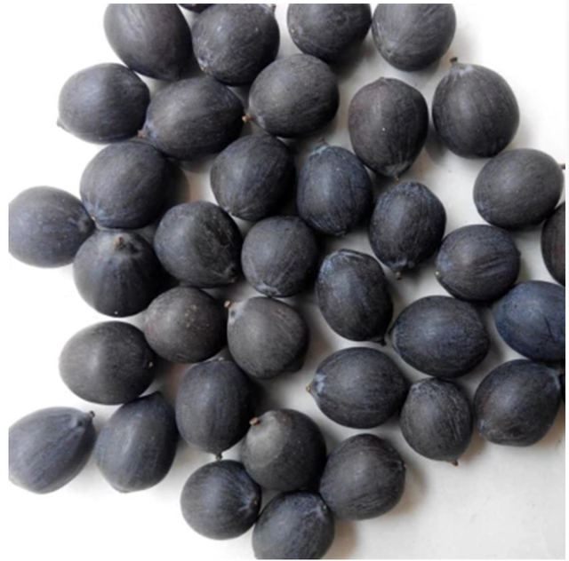 Vietnam dried lotus seeds origin Shelf Life 2 Address Vietnam Model Number 01 Content lotus seed Ingredients lotus seed Storage Type dried - Image 4