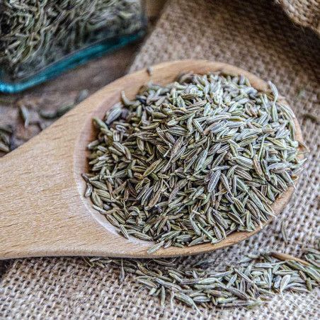 BEST SELL Wholesale price cumin seeds single spices A grade cumin seeds for sale - Image 2