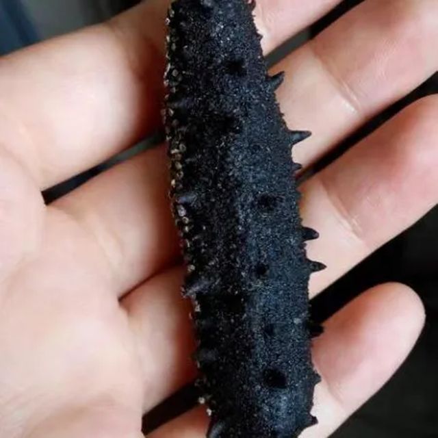 HOT SALES! DRIED SEA CUCUMBER MEAT | Exported by Tanis Imex Co., Ltd from Vietnam Grade A High quality - Image 5