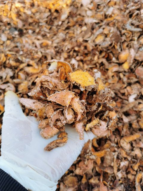 From Vietnam The Best Price Wholesale Sliced Dried Turmeric Organic fresh turmeric Premium High Quality - Image 4
