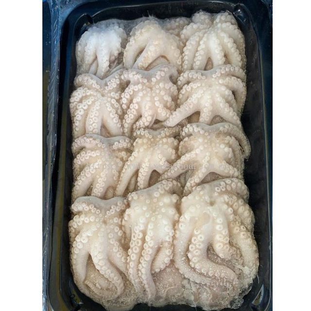 best price frozen whole octopus cleaned for wholesales from Vietnam - Image 4