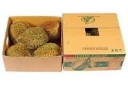 The Best Fresh Durian , Tropical Fruit, Vietnam Export products to China, Thailand, Malaysia, Turkey uDrian Paste - Image 2