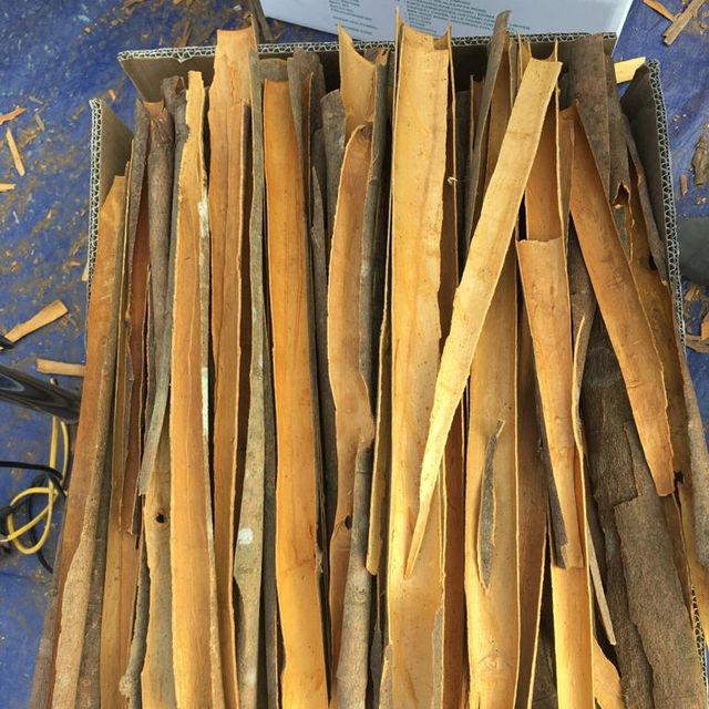 Best Quality Split Cassia Crops from Vietnam Cinnamon Spicy Single Herbs & Spices Dried Raw Natural Brown - Image 1