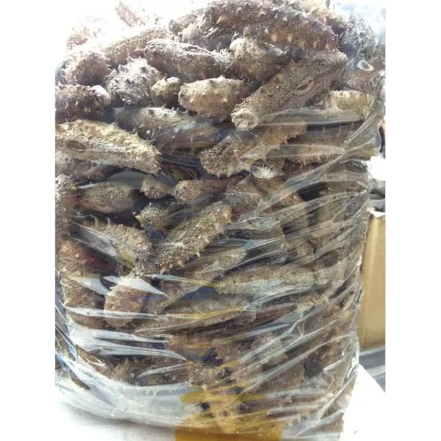 HOT SALES! DRIED SEA CUCUMBER MEAT | Exported by Tanis Imex Co., Ltd from Vietnam Grade A High quality - Image 4