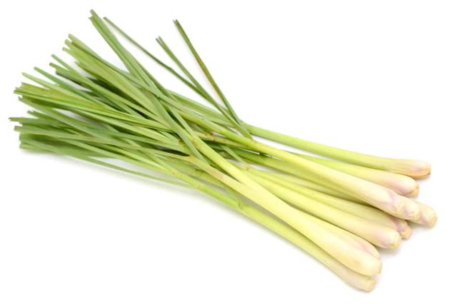 Premium Quality Frozen Whole Lemon Grass from Vietnamese Supplier at wholesales price for export - Image 3