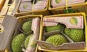 The Best Fresh Durian , Tropical Fruit, Vietnam Export products to China, Thailand, Malaysia, Turkey uDrian Paste - Image 3