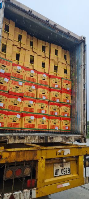 Fresh durian fruit - Monthong durian for export - Image 5