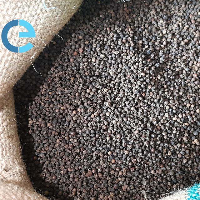 Black Spices Black pepper Vietnam wholesale bulk black pepper organic black pepper Asta Good price - Image 4