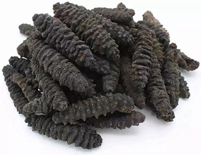 High quality sea cucumber price from manufacturer, dried sea cucumber rich nutrition wholesale - Image 3