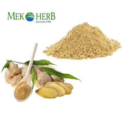 Ginger extract powder/Ginger root extract - Image 3