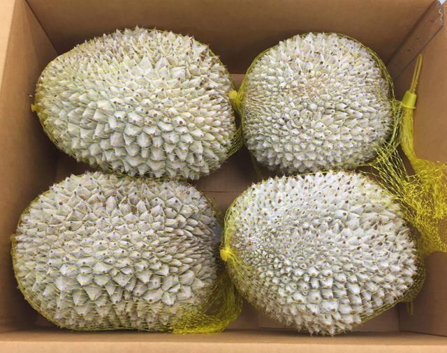 The Best Fresh Durian , Tropical Fruit, Vietnam Export Products Musang King Durian Fresh Durian Malaysia - Image 3
