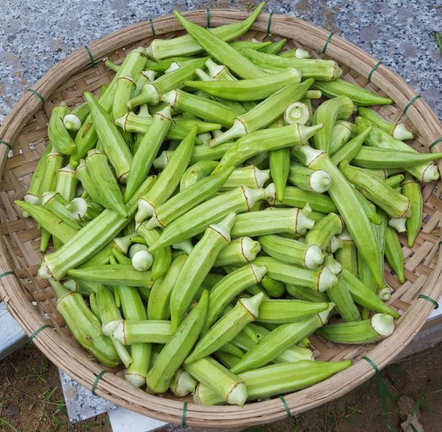 Export Standard Frozen Vegetables from Vietnam Frozen Okra Natural Color Bulk Style Packaging - Image 3