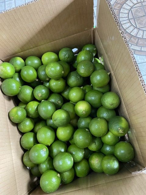 Vietnam fresh seedless lime Grade A Type LIME Style Fresh Color green Shelf Life 1 Content lime Weight (kg) 0.5 Ingredients - Image 4