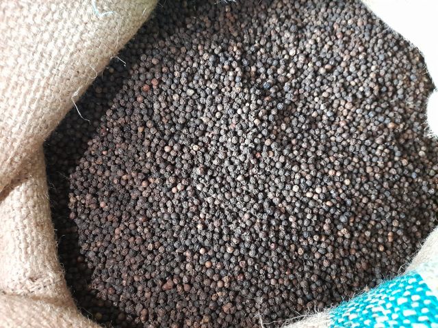 High Quality Black pepper FAQ Wholesale Spice Dried Black Pepper Quality Natural Vietnam Pepper - Image 3