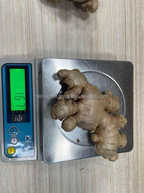 High Quality Fresh Air Dried Ginger For Dubai Market Cheap Price In Bulk - Image 3