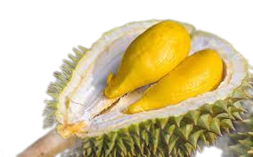 The Best Fresh Durian , Tropical Fruit, Fresh Durian Fruit, Vietnam Export Products, Bangladesh, Turkey, India, China Fresh Duri - Image 4