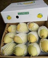 High Quality Fresh Mango Fresh Fruit Frozen Fruits Fresh Mangos Packing Box In VietNam Export Fruit - Image 5