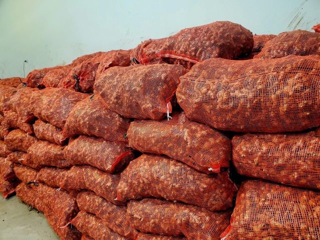 Best Price Ginger Keep Dry Or Refrigerated Old Organic Packed In Box Vietnam Manufacturer Frozen Vegetable - Image 4