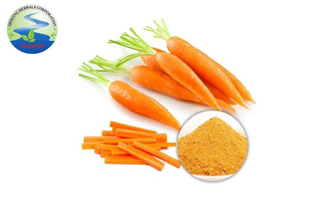 100% Organic carrot extract powder brand Mekong Herbals Origin VietNam - Image 4