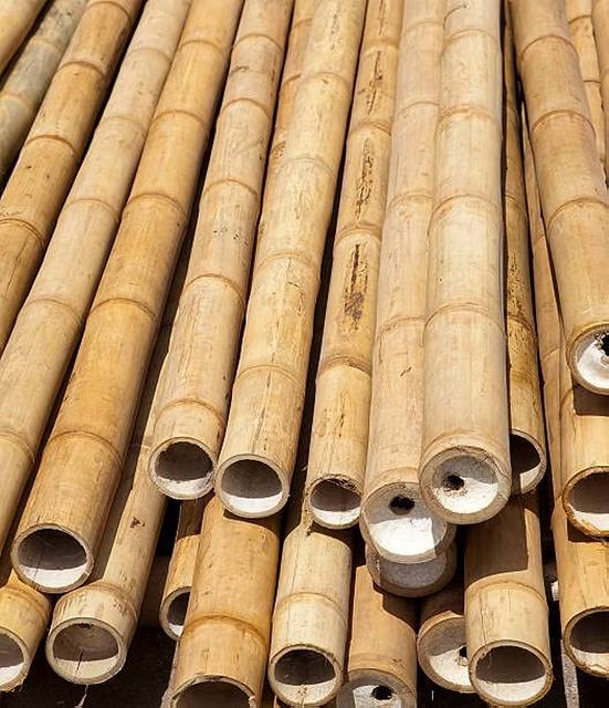 Bamboo Pole Hot Sale Agricultural Cheap Price Bamboo Poles for Indoor Outdoor Decoration - Image 5