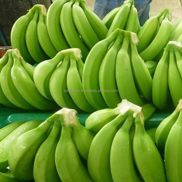 Fresh green cavendish banana from Vietnam at competitive price - Image 5