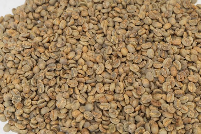 Hot Selling Ground Coffee Type Premium Grade Arabica Coffee Beans Size 16 Green 60 Kg Honey COMMON Cultivation - Image 3