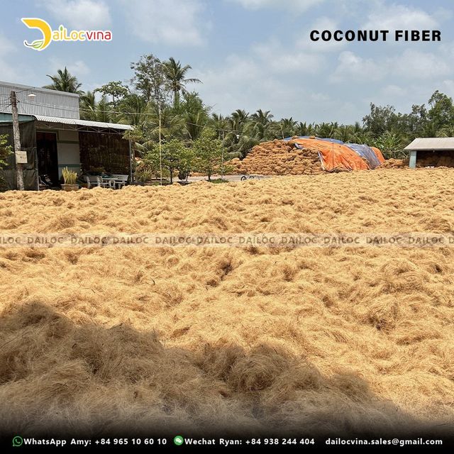 TOP SELLING - COCONUT COIR FIBER MADE IN VIETNAM CONTACT RYAN +84938244404 - Image 3