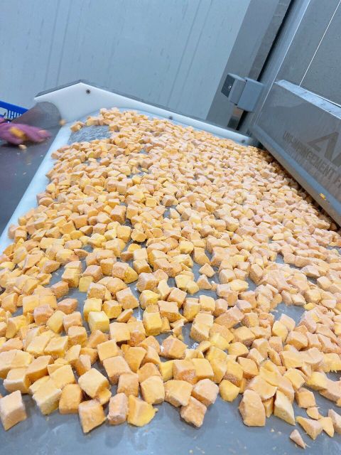 Wholesale tropical fruit frozen mango yellow color origin Vietnam IQF process yellow mango fruits for sale vacuum packaging - Image 2