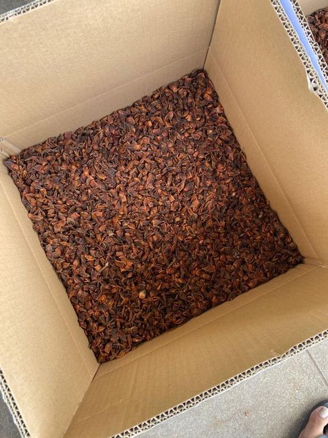 Wholesale 2023 Low Price Star Anise Best Quality Spring Dried Star Anise Spices For Cooking - Image 3
