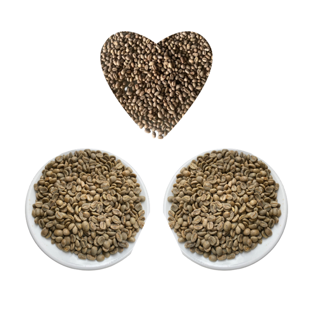ARABICA CATIMOR GREEN BEANS FULLY-WASHED Premium Quality with Small MOQ from Highland Low Price Central of Vietnam – product photo 4, product detail gallery