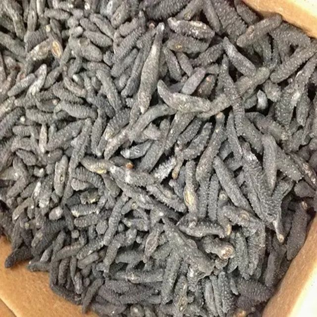 DRIED SEA CUCUMBER IS SELLING WHOLESALES PRICE WITH GOOD QUALITY - Image 5