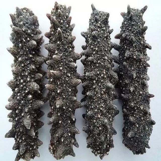 Wholesale dried sea cucumber high quality fresh and natural taste - Image 5