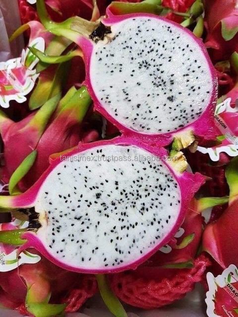 FRESH DRAGON FRUIT - UNLEASH THE EXOTIC FLAVOR FOR YOUR B2B BUSINESS - Image 4