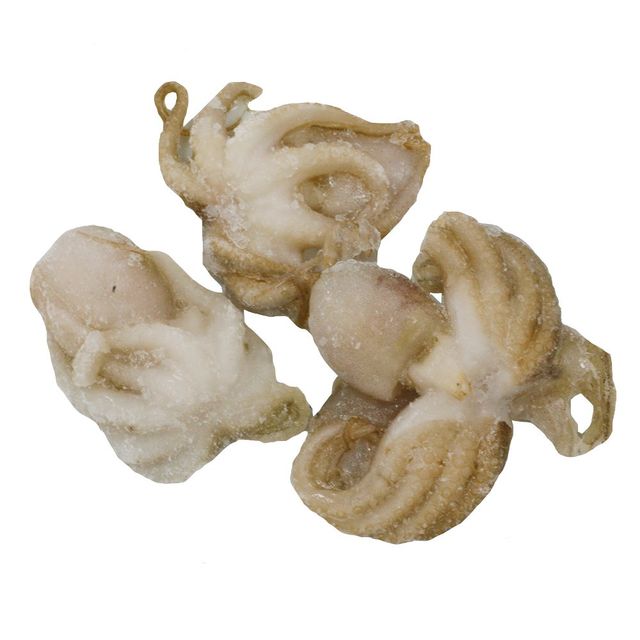 Frozen Whole Octopus Cleaned For Wholesales At Best Price - Image 1