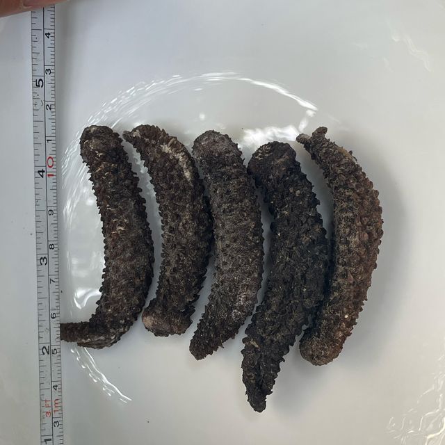 Wholesale sea cucumber export dry sea cucumber high quality sea cucumber dried - Image 3