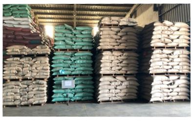 Coffee Bean Roasted Arabica Coffee Beans Premium Quality Green Super Quality for Sale Premium Grade 60 Kg 18 COMMON Cultivation - Image 4