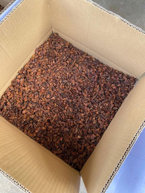 Factory Price Wholesale Broken Star Anise Best Quality Star Anise For Cooking Made In Vietnam - Image 3