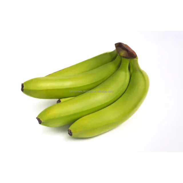 SUSTAINABLE BANANA EXPORT: PREMIUM QUALITY FOR YOUR B2B BUSINESS - Image 4