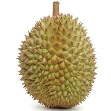 The Best Fresh Durian , Tropical Fruit, Vietnam Export products to China, Thailand, Malaysia, Turkey Durian Fruit Malaysia - Image 5