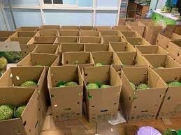 The Best Fresh Durian , Tropical Fruit, Vietnam Export products to China, Thailand, Malaysia, Turkey uDrian Paste - Image 6