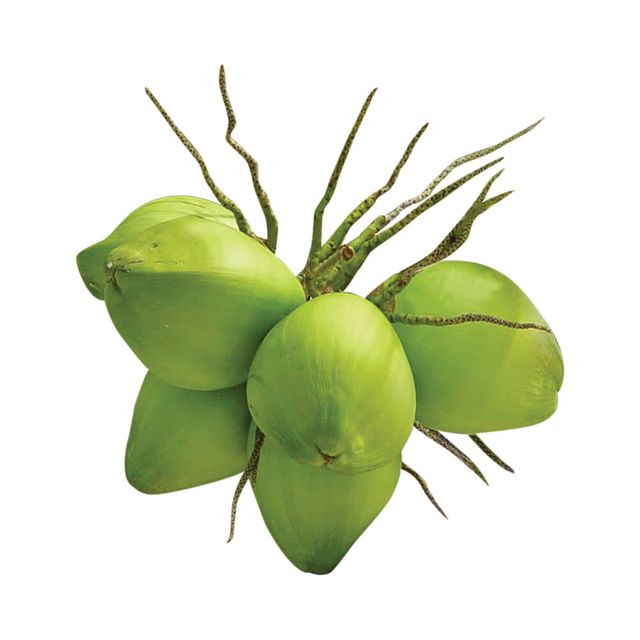 Rich in protein Volume 250 to 300 ml Per piece Fresh Young Coconuts With Diamond shape or polish shape - Image 1