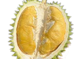 The Best Fresh Durian , Tropical Durian frozen Organic fruits, xotic fruits Organic Packed In Box Vietnam Manufacturer - Image 4