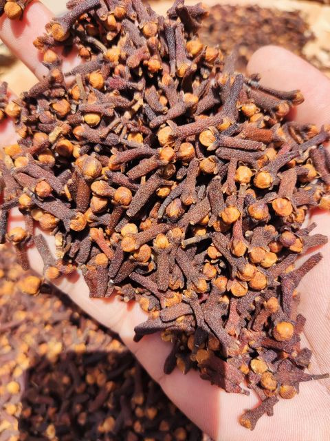 Wholesale Price Good Quality Whole Clove Dried Cloves Herbs Spices Top Quality Spices Organic - Image 2