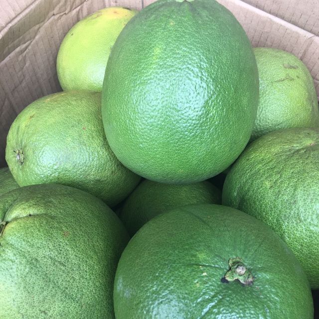 Fresh Seedless Lime High quality Green Seedless Lemon from Vietnam - Image 5