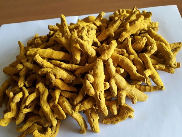 Finger Turmeric Organic fresh turmeric Premium High Quality From Vietnam The Best Price Wholesale - Image 3